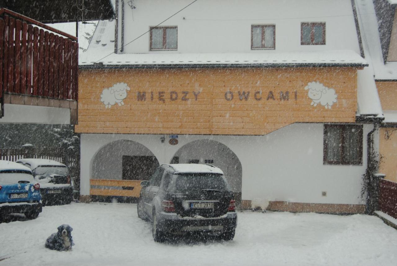 Apartamento Miedzy Owcami Sromowce Wyzne Exterior foto